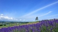 扒色色日本一地6日游  境外旅游 6880元/人