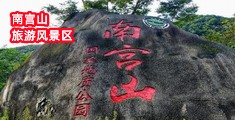 欧美插B网